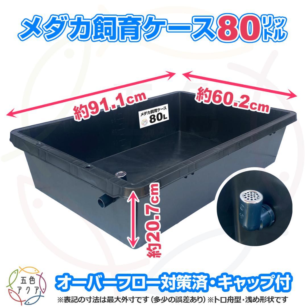 【新仕様】メダカ飼育ケース 80L黒x3個 トロ舟 大雨対策済み 金魚飼育容器