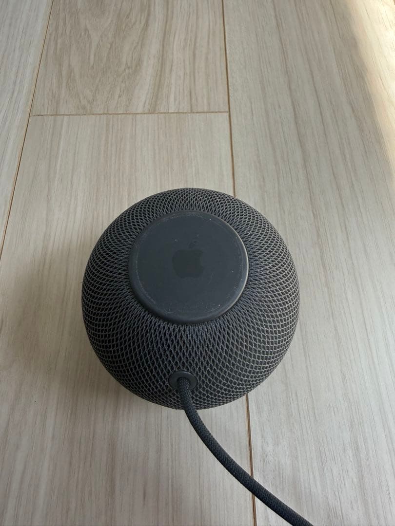Apple Pod mini スペースグレー 本体②