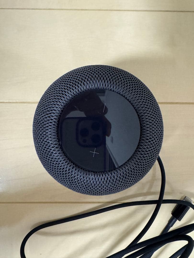 Apple pod mini スペースグレイ