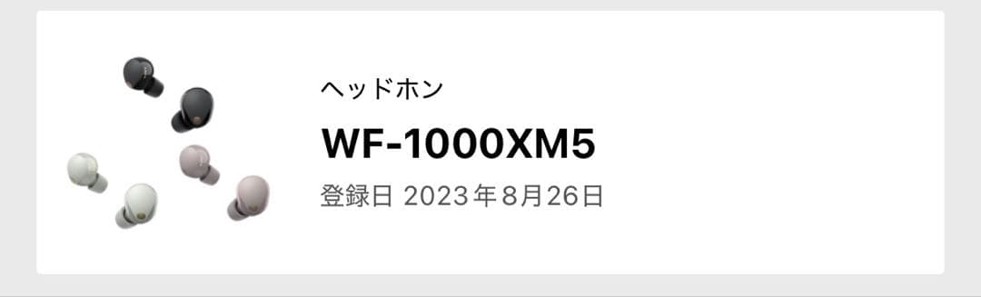 【超美品】SONY WF-1000XM5プラチナシルバー 付属品完備 即日発送