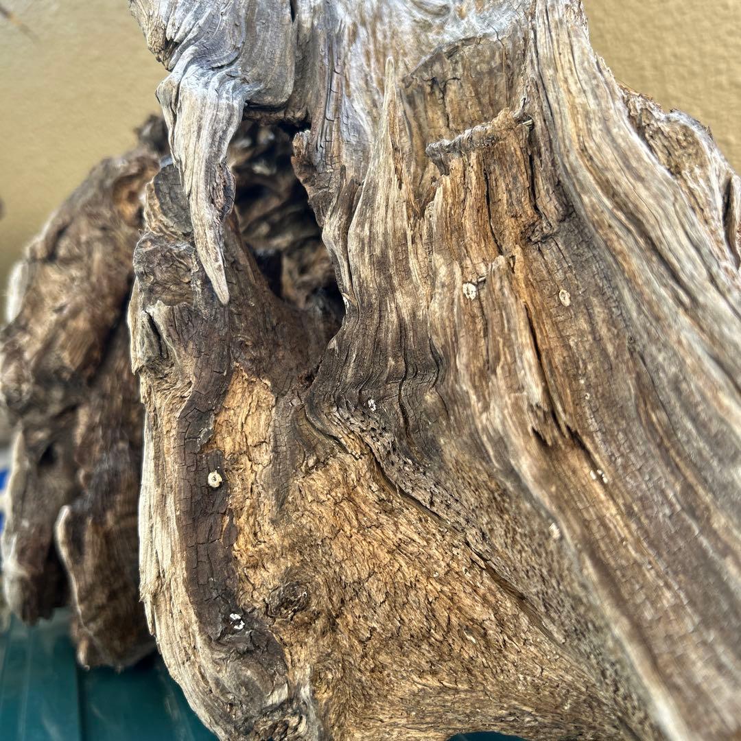 流木