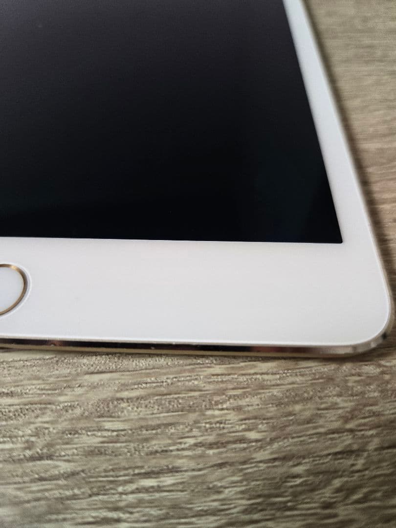 iPad mini4 本体