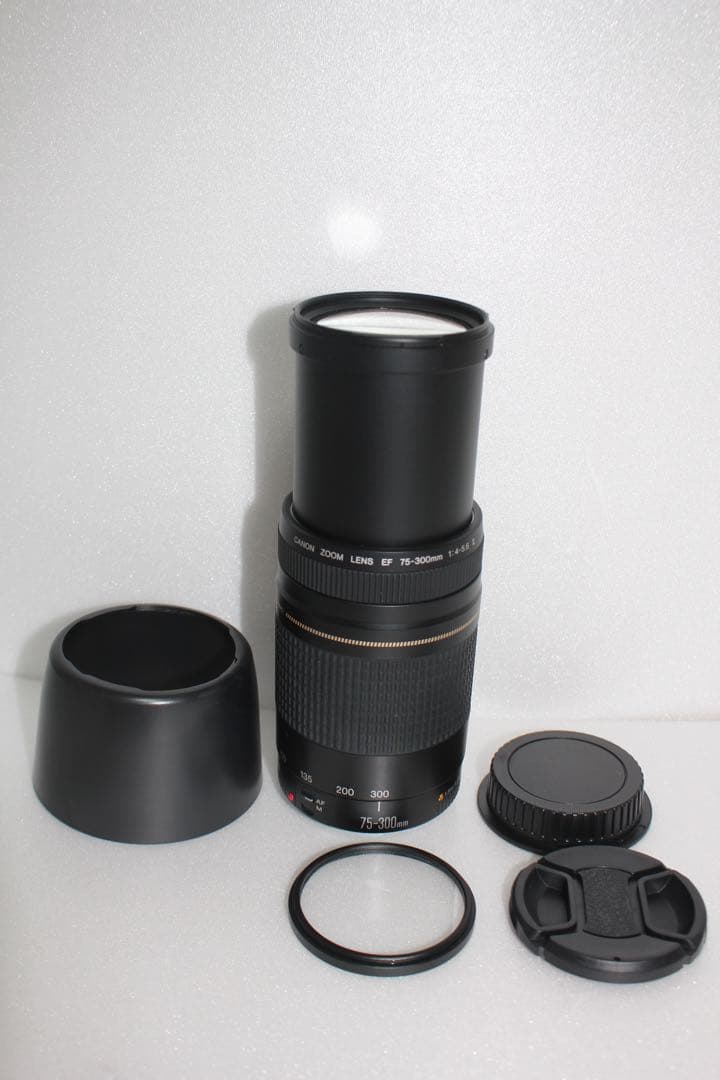 極上品☆迫力の300㎜☆フード付☆キャノン Canon EF75-300