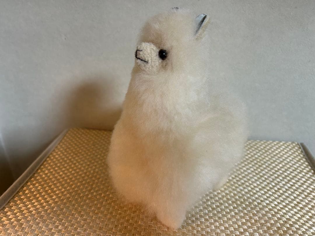 「新品」パコ　Alpaca Teddy アルパカのぬいぐるみ