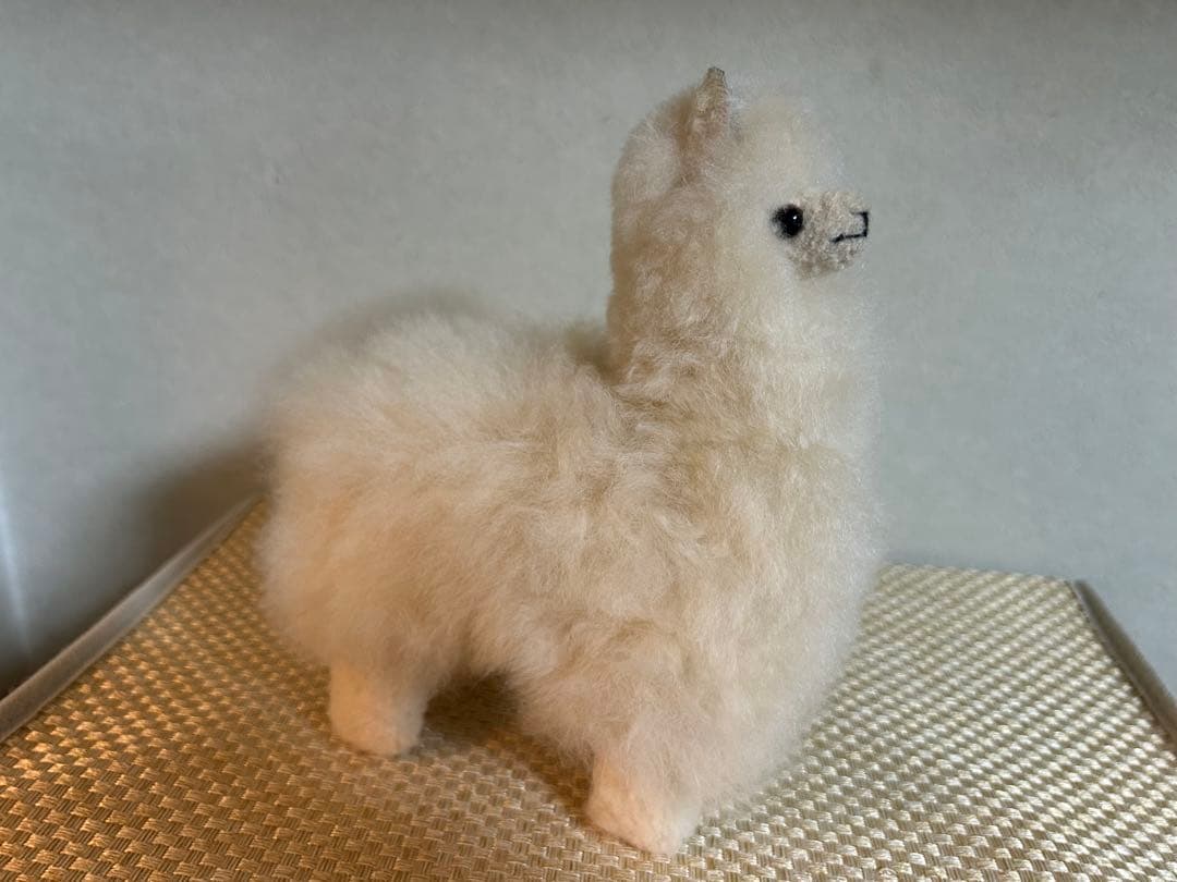 「新品」パコ　Alpaca Teddy アルパカのぬいぐるみ