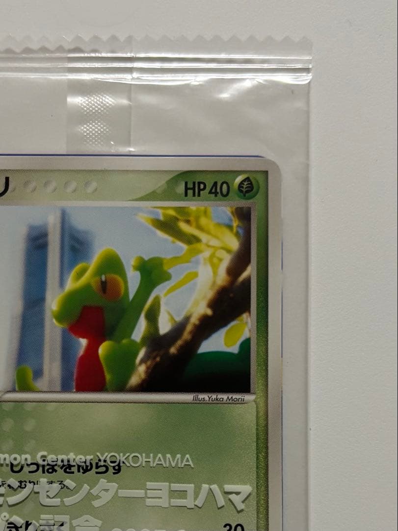 キモリ 037/PCG-P 2004 ポケモンセンター
