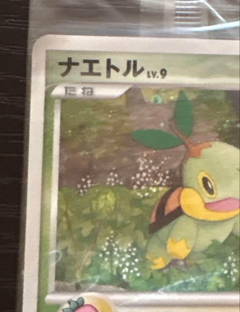 ポケモンカード プレイヤーズ プロモ ナエトル ヒコザル ポッチャマ 未開封