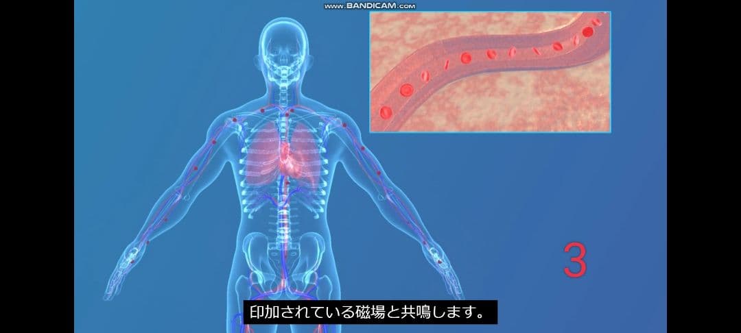 マグヒーリー　クラシック　エディション【保証期間内】