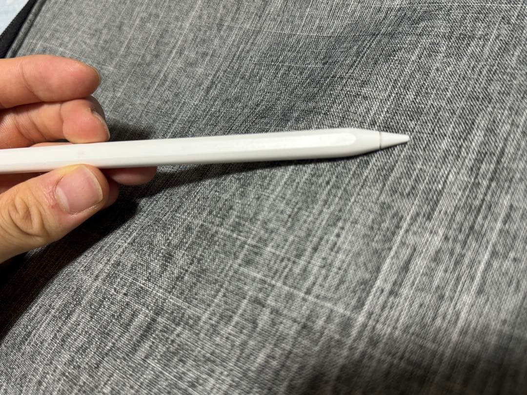 Apple pencil（第二世代）＋Type-Cケーブル（値下げ交渉承ります）