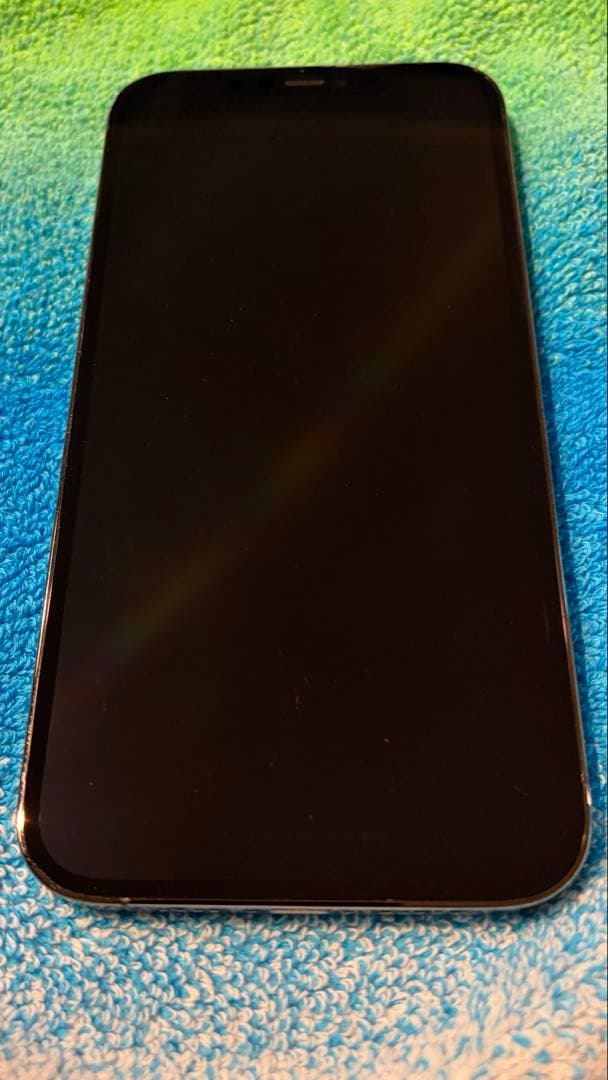 【SIMフリー】iPhone 12 Pro Max 256GB グラファイト