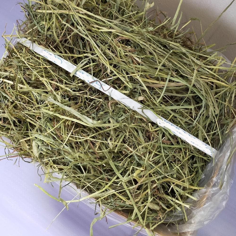 【9/16まで】US産 チモシー 30kg ２番刈 ソフトSプレミアム