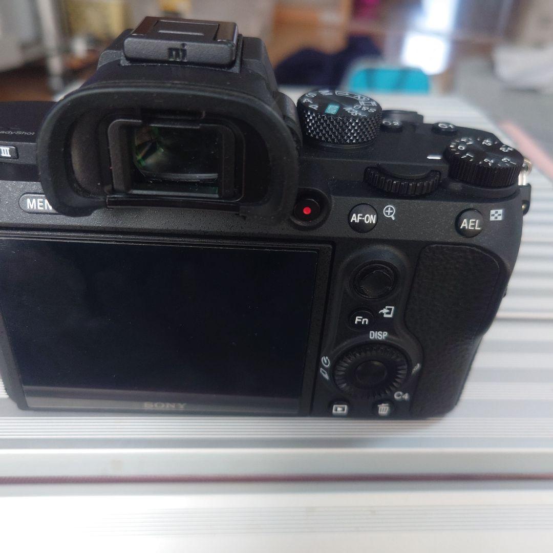 sony　α7III　ショット数4246枚