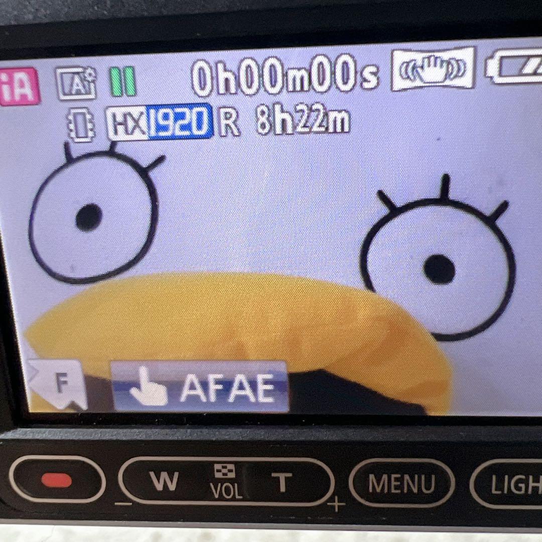 ☆動作確認済★ Panasonic HDC-TM30 ビデオカメラ　パナソニック
