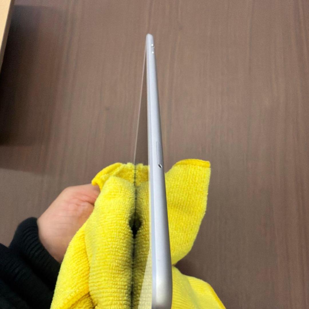 Apple iPad mini５Wifi+Cellular 64GB 純正pen