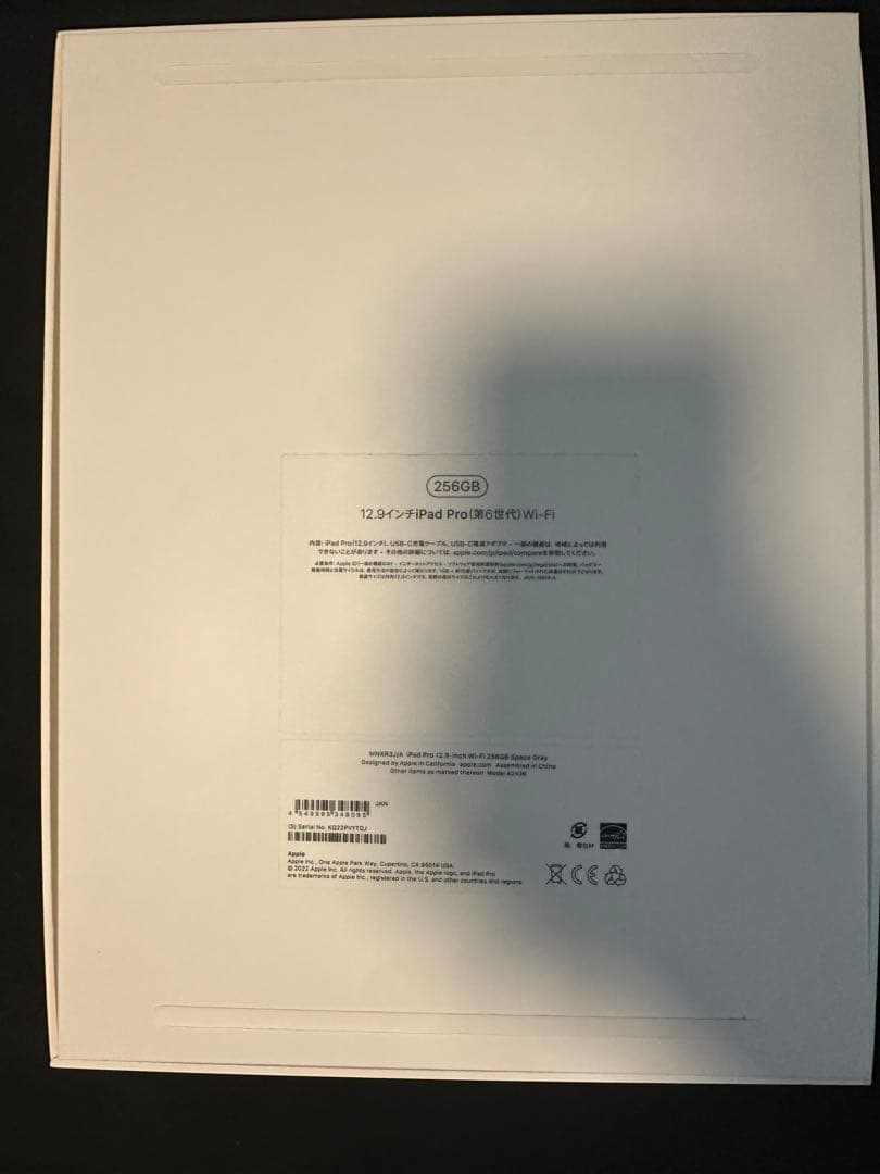 iPad Pro 12.9インチ第6世代 256GB