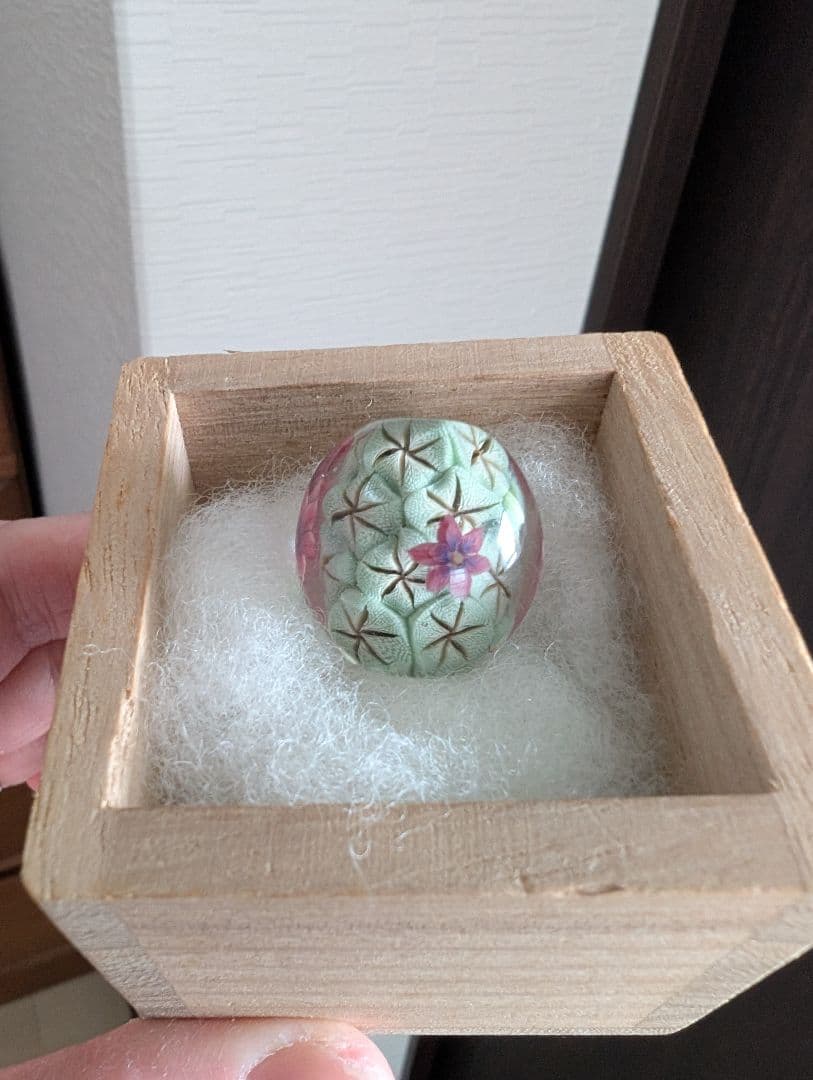 とんぼ玉 内田敏樹作 サボテン 花 木箱付き 工芸品 ガラス細工 蜻蛉玉