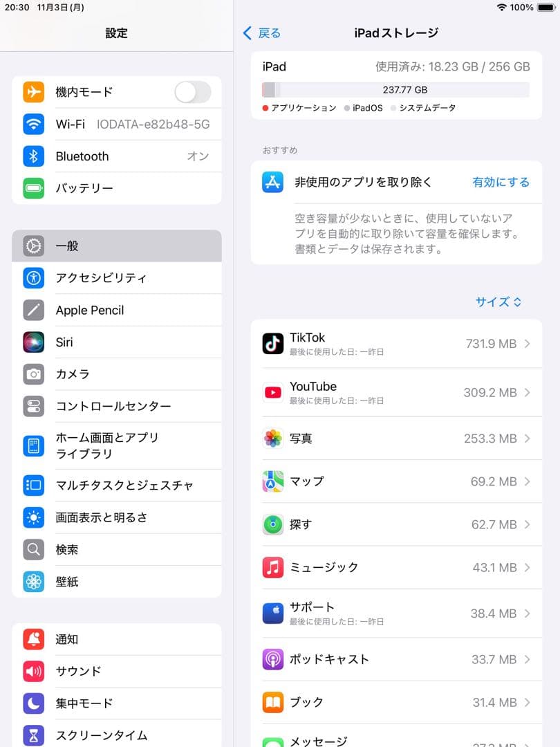 iPad mini第５世代256GBwi-fiモデルバッテリー94%グレイ 本体