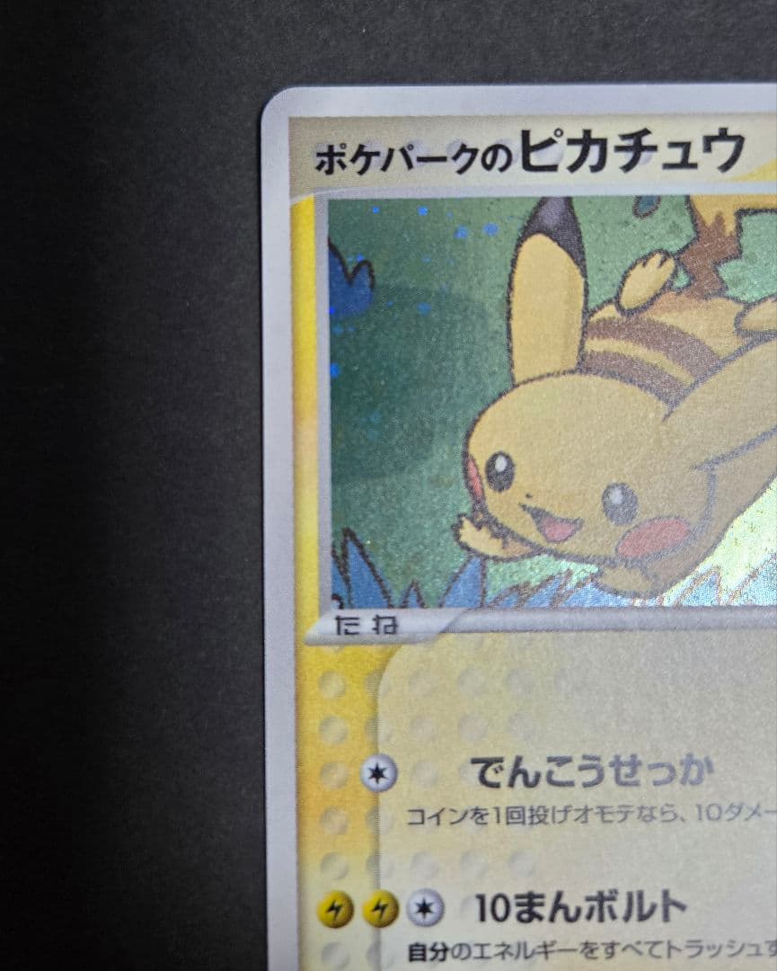 ポケパークのピカチュウ 　プレミアムファイル004/009