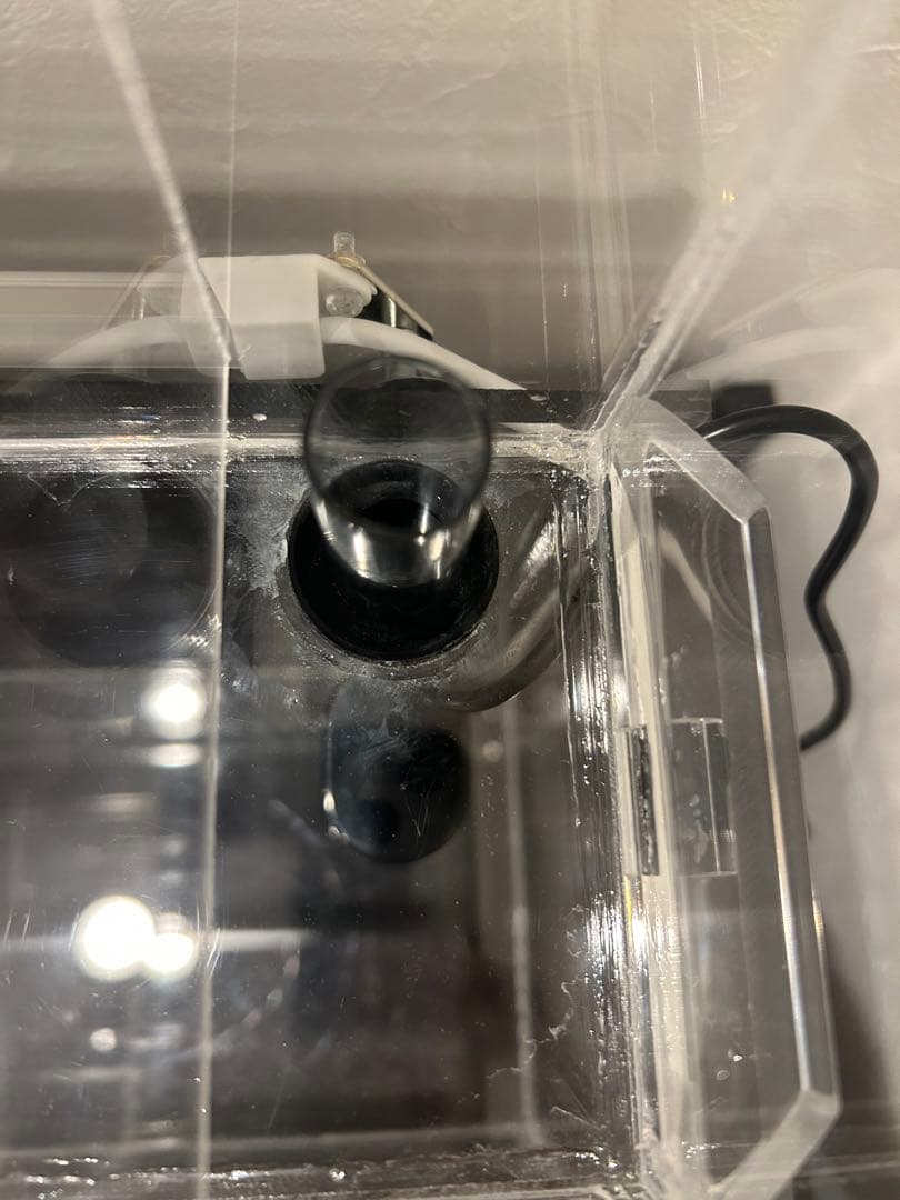 【訳あり品】アクアポニックス水槽アクアリウムにも最適！