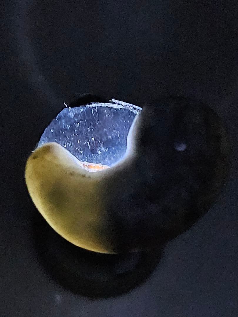 糸魚川　乳白灰黒 翡翠勾玉