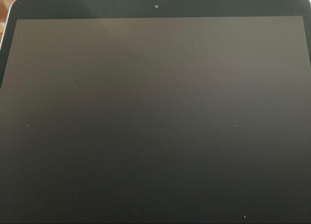 【早い者勝ち】iPad Air3 256GB SIMフリー【すぐ発送】【付属品】