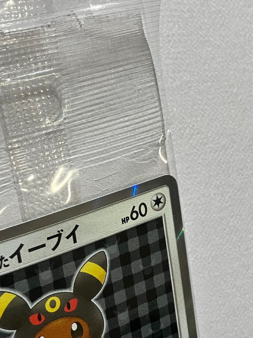 ポンチョイーブイ　ブラッキー