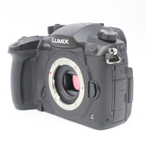 ショット数1,956！■ほぼ新品■ PANASONIC GH5 DC-GH5-K