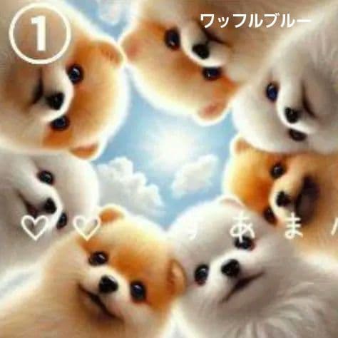 その他 Yourelia