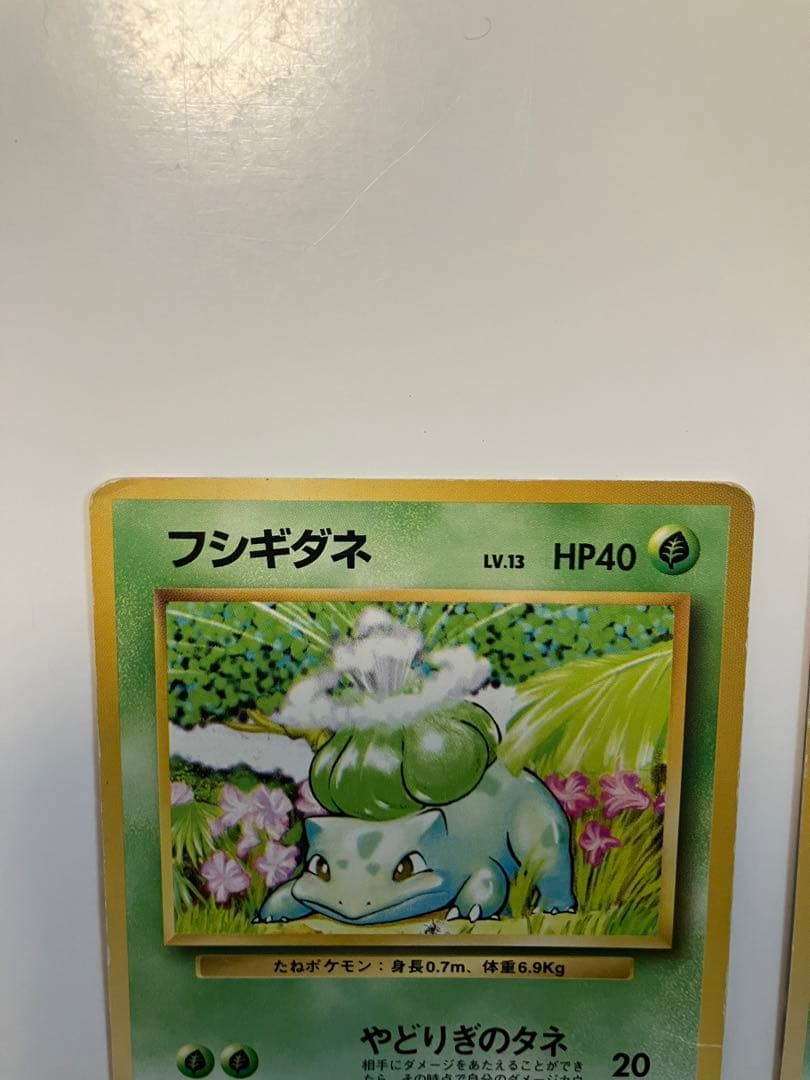 フシギダネ　旧裏　マークあり