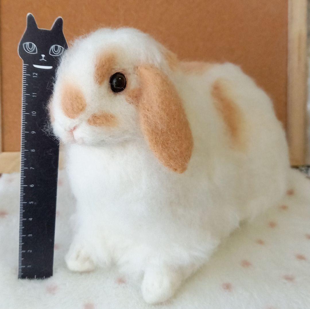 ロップイヤー ブロークンオレンジ 全身 羊毛フェルト ハンドメイド インテリア