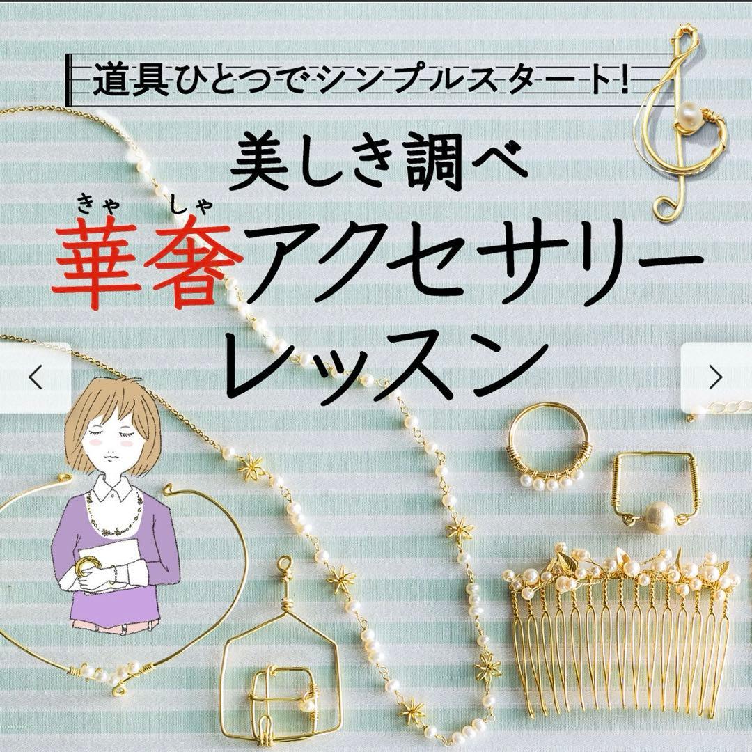新品　フェリシモ Mini Tsuk 美しき調べ 華奢アクセサリー(全12回)