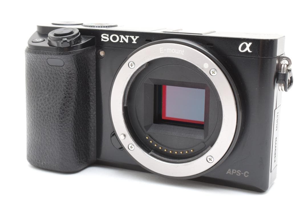 ソニー α6000 ミラーレスデジタルカメラボディ ブラック Sony