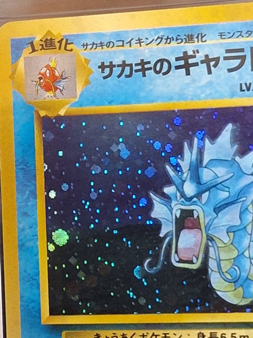 ARS8 旧裏 サカキのギャラドス キラ ホロ PSA8 相当 以上 等