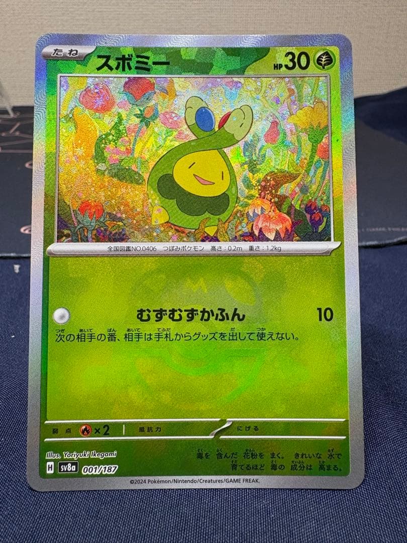 『高騰』グレイシア（マスターボールミラー）含む︎⭐️マスターボールミラー12枚SET