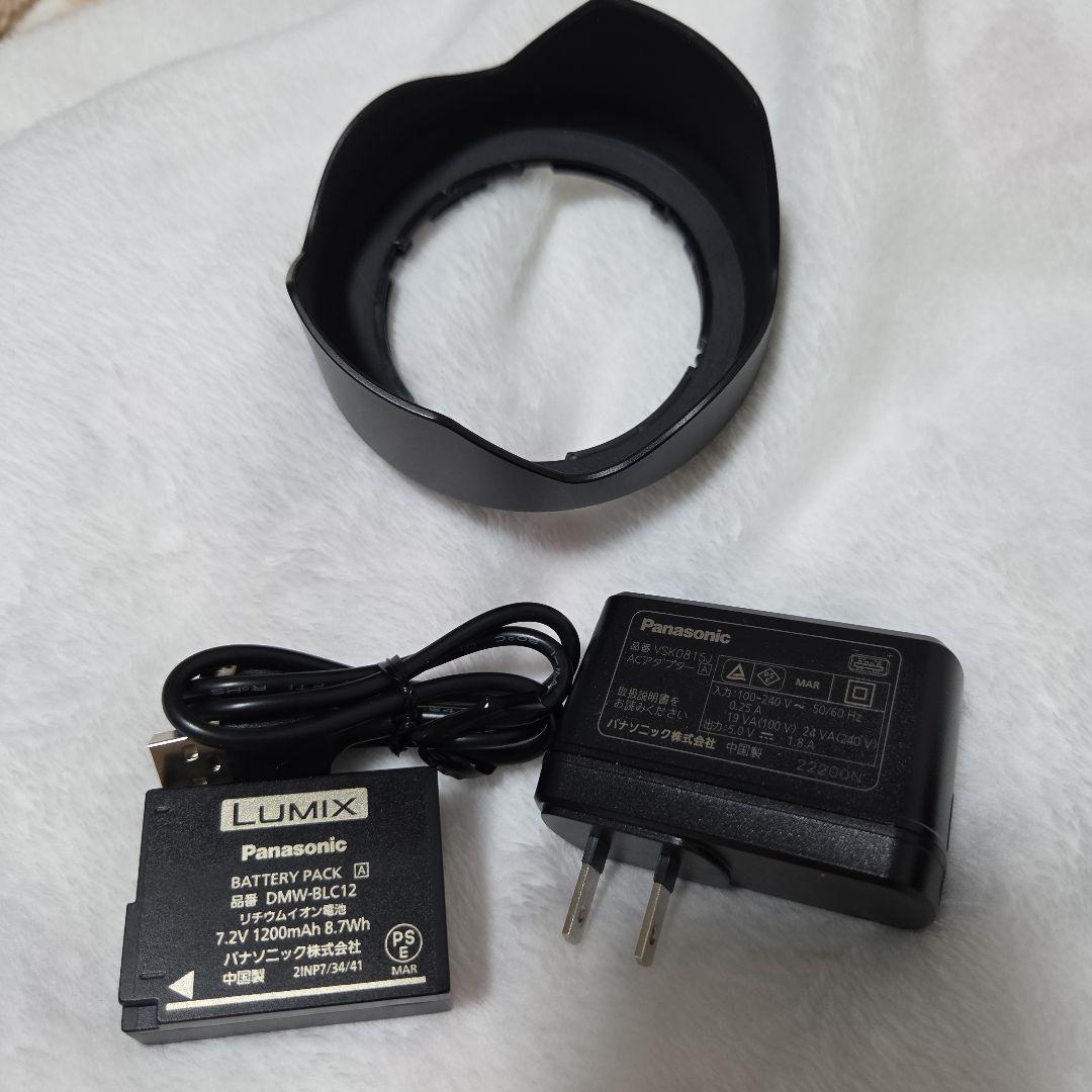 FZ1000M2 ⁑美品 Panasonic LUMIX DC-FZ1000M2