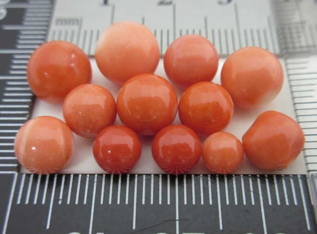 桃珊瑚 サンゴ 7g 片穴ルース セット 本珊瑚 s7a