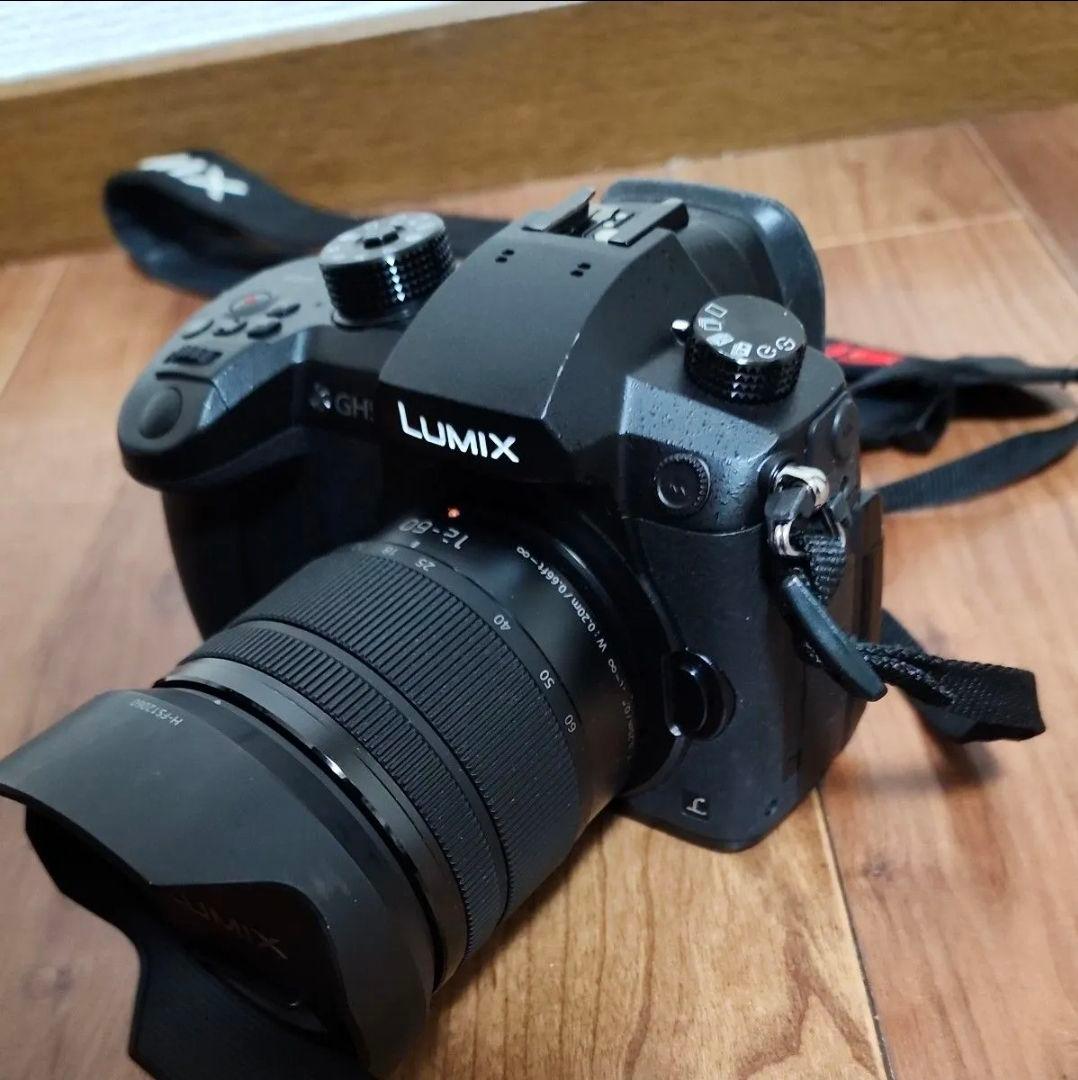 出品は4/4まで パナソニック ルミックス DC-GH5 バッテリー マイク