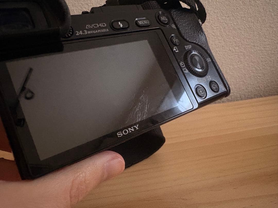 Sony α6000 本体+16-50mm レンズ付き