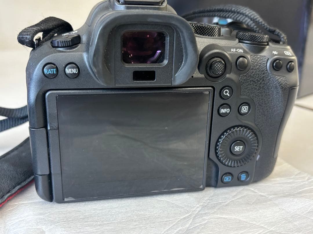 Canon EOS R6 markⅡ ⭐︎純正予備バッテリー付き