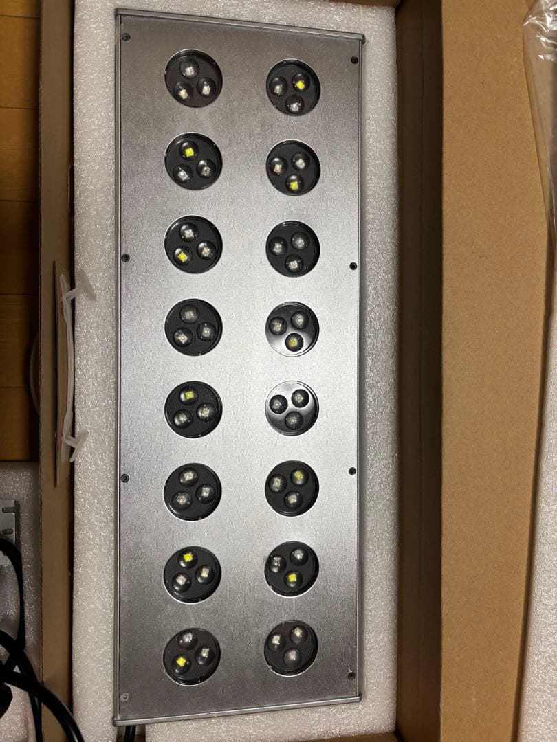 zoox レブロン 60