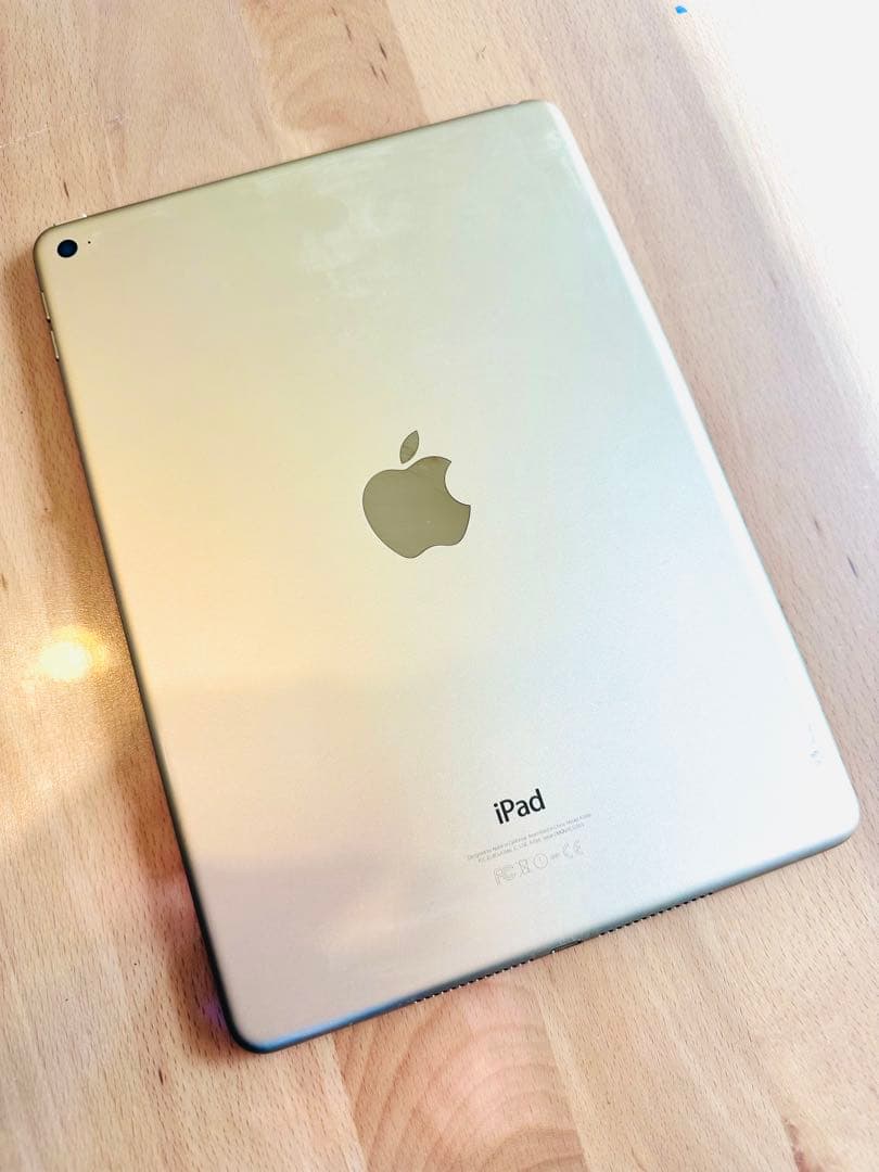 Apple iPad Air 2 Wi-Fi モデル ゴールド 本体