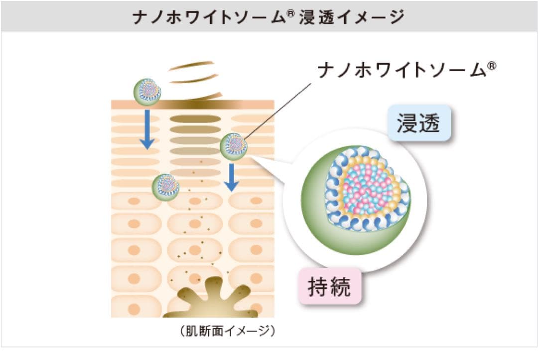 MESOCEUTICAL ナノホワイトセラム 15g 3本セット