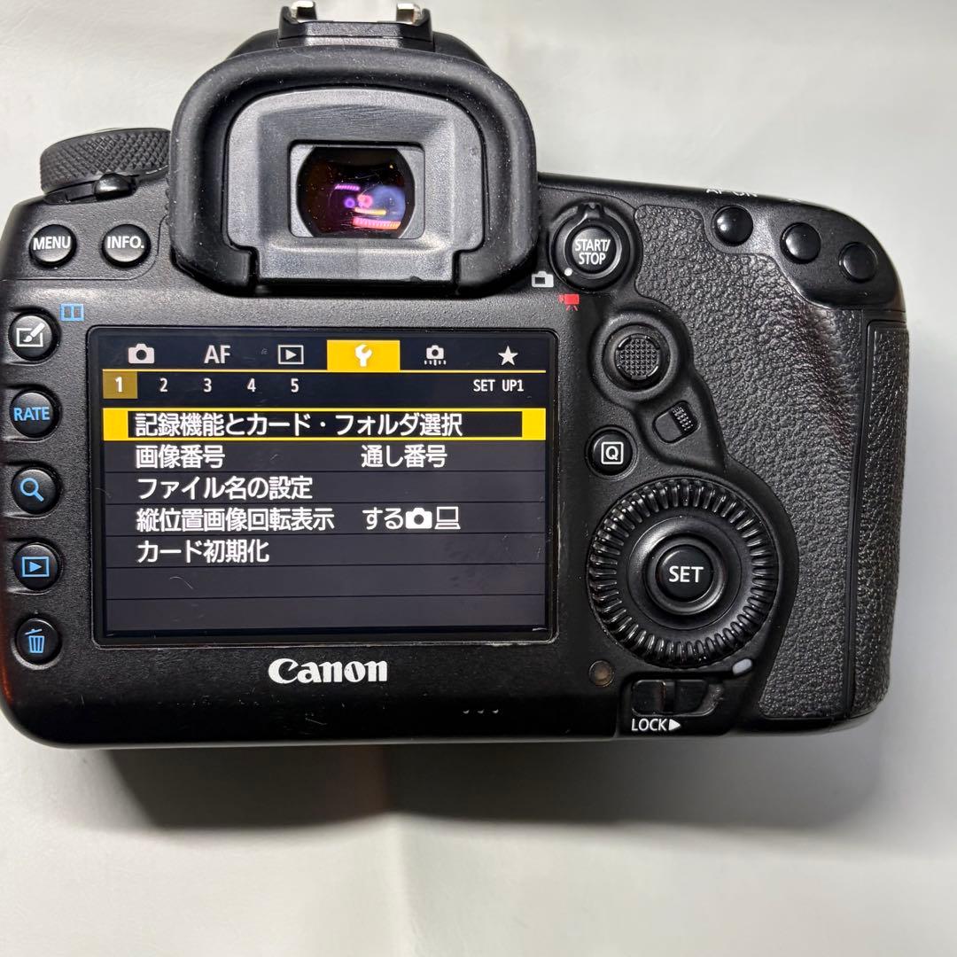 15日迄／Canon EOS 5D Mark IV 本体とズームレンズ2本セット