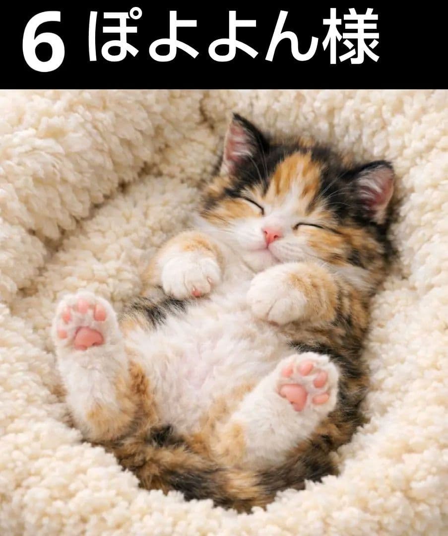 オーダーページ　ハンカチ353 居眠りネコちゃん柄ハンドメイド3/18