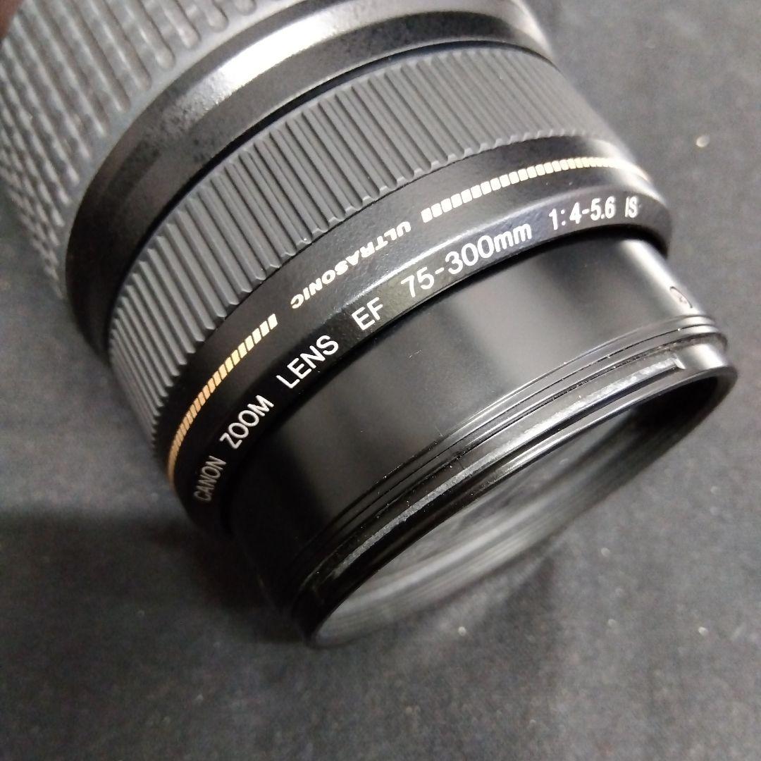 Canon 75-300mm 手ブレ補正レンズ