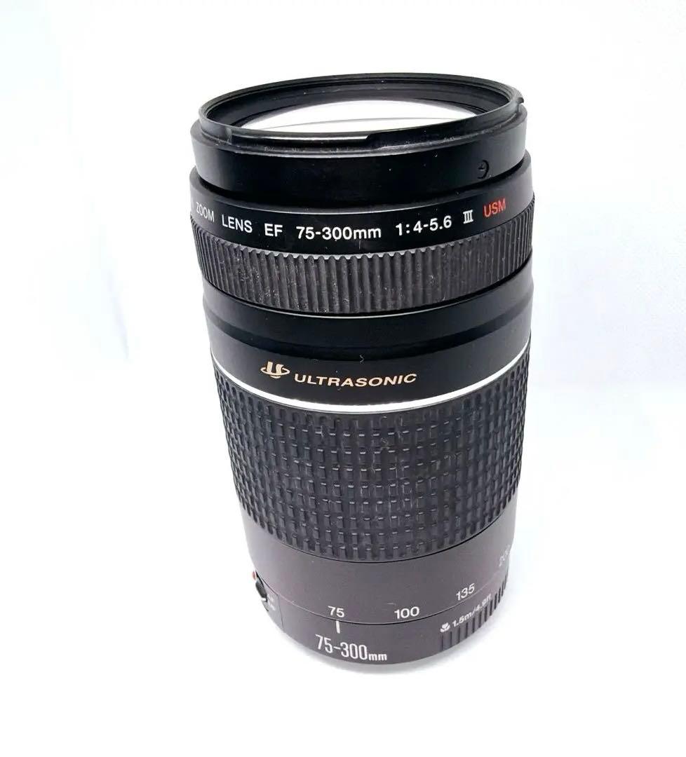 【即発送 美品】CANON EF 75-300mm F4-5.6 III USM