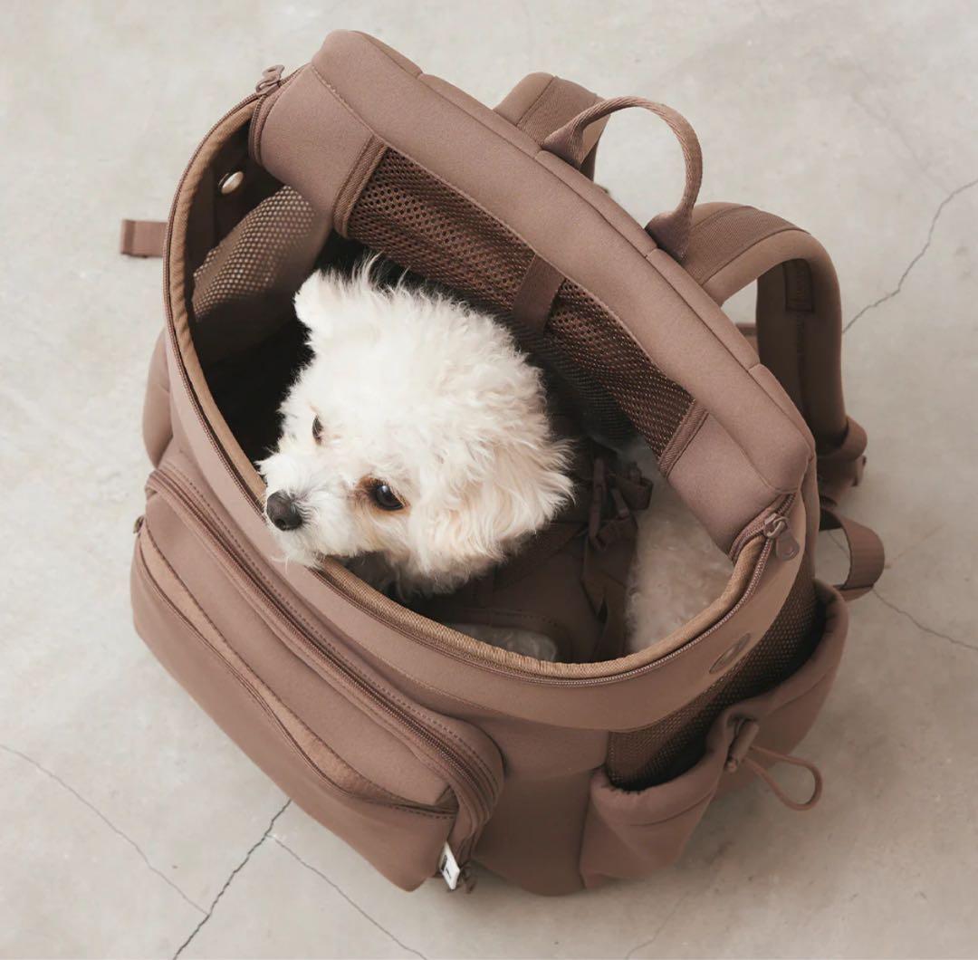 CITYDOG ベージュ キャリーバッグ