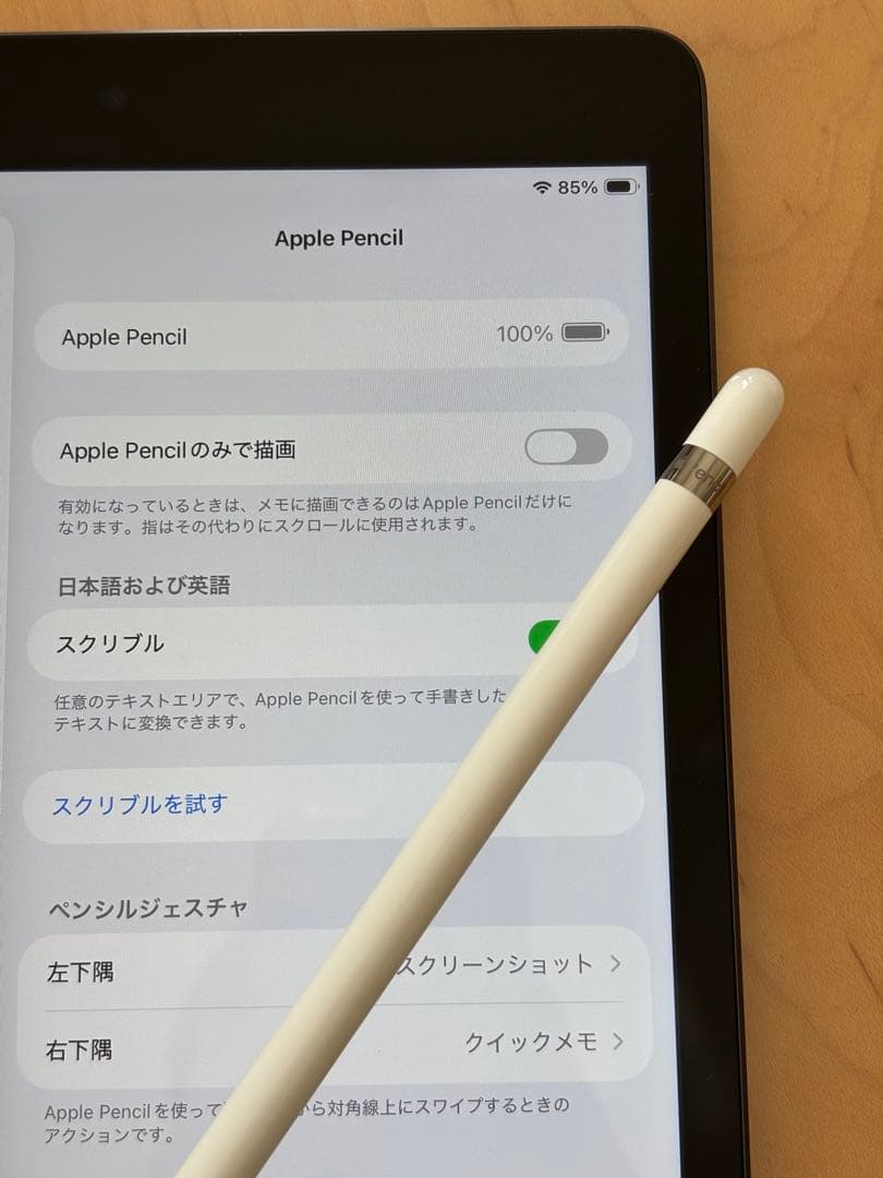 Apple Pencil 第1世代 MK0C2J/A 充電確認済 筆圧OK
