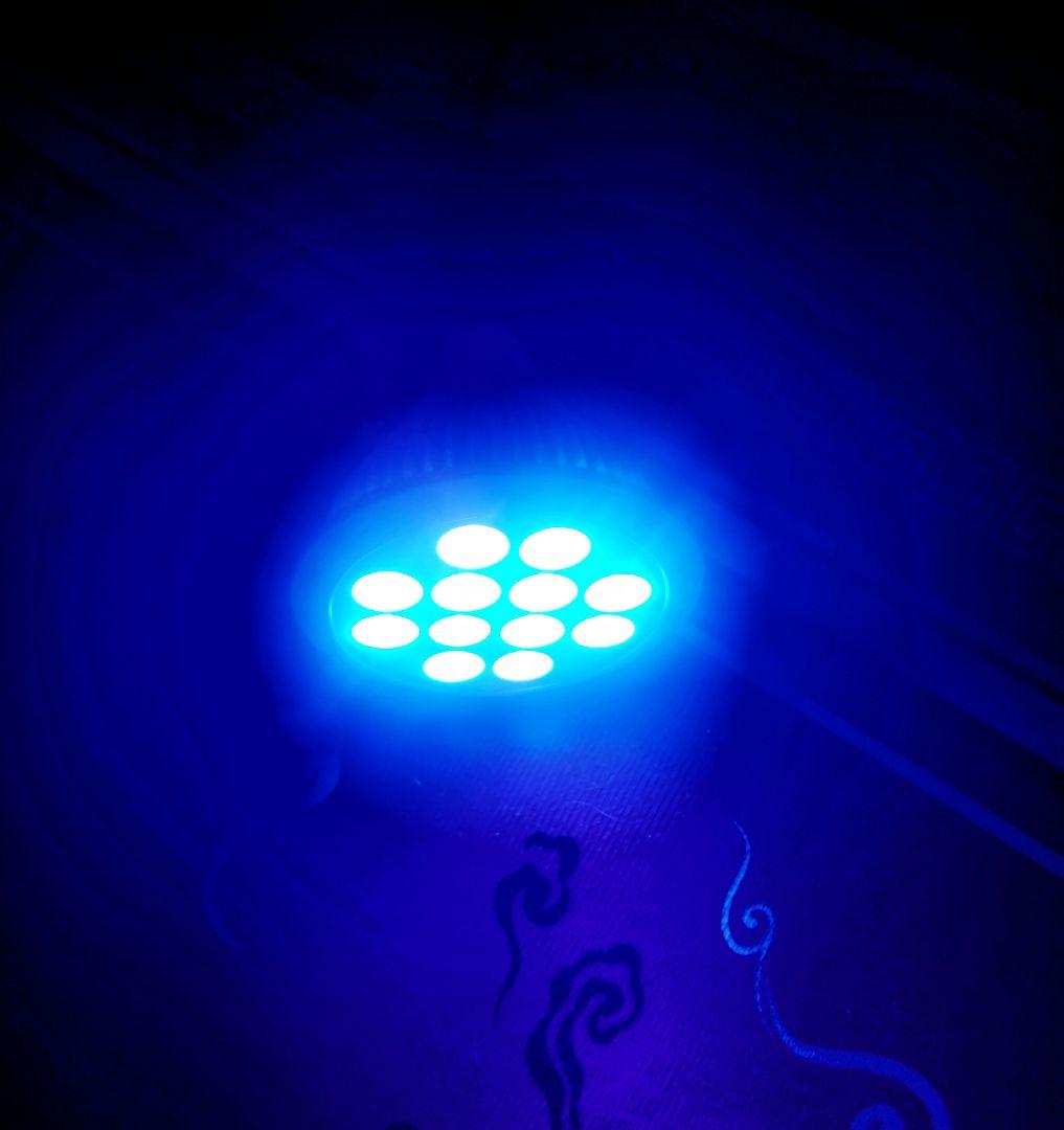 B.R.S Lighting Master 24DCⅡ　UVマリン　LED