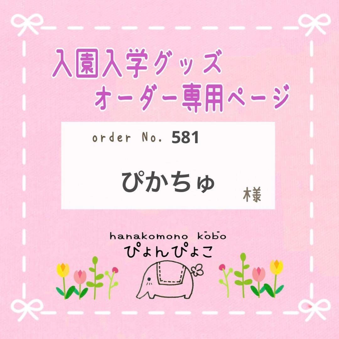 【581】ぴかちゅ様　レッスンバッグ　体操服服　上靴袋　入園入学セット